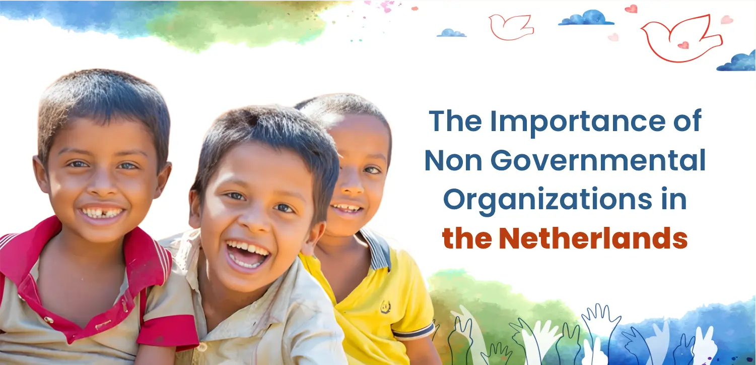 The Importance of Non Governmental Organizations in the Netherlands