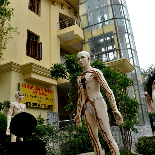 Narayan Seva Sanasthan Netherland